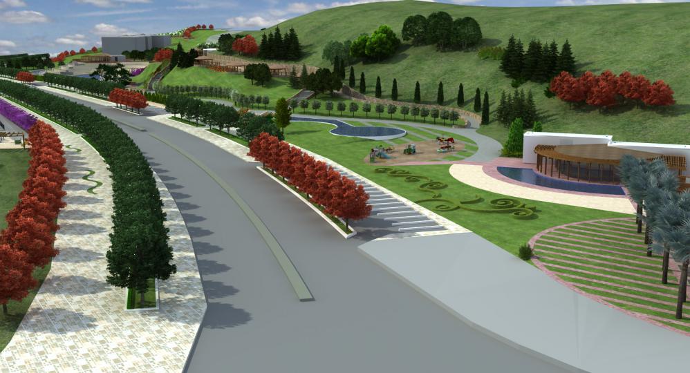 Project Name