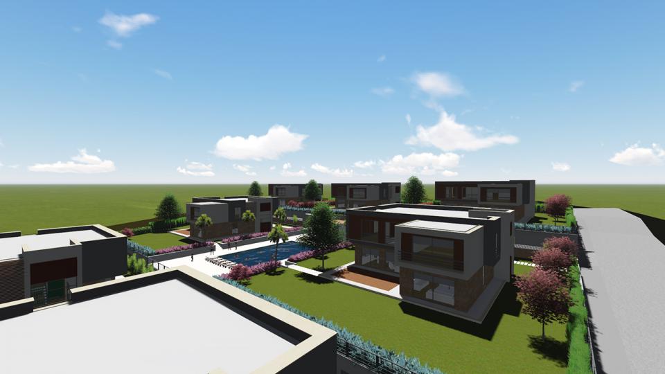 Project Name